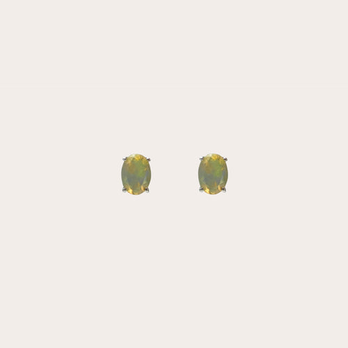 Aretes Shine