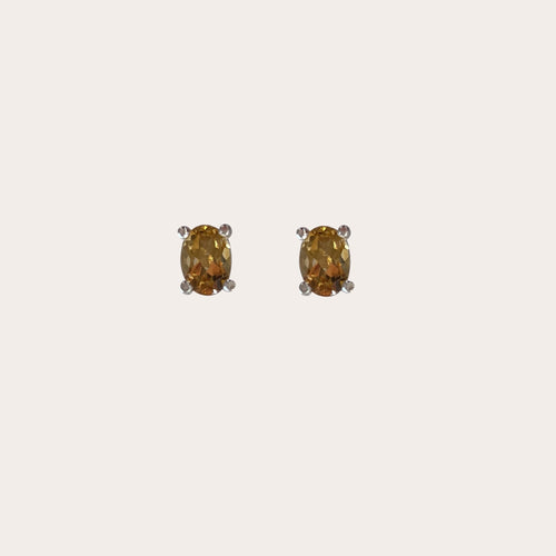 Aretes Shine