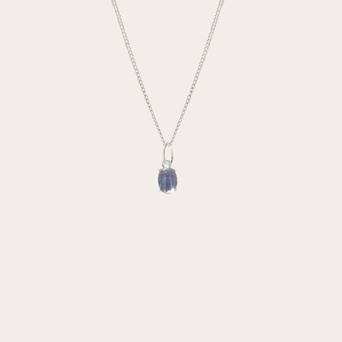 Collar Shine