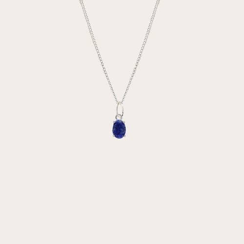 Collar Shine