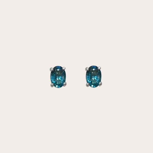 Aretes Shine