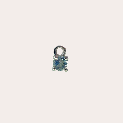 Charm Conejito