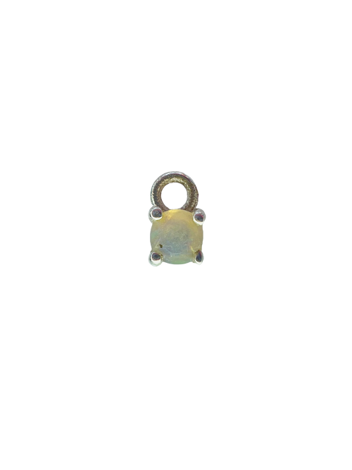 Charm Conejito