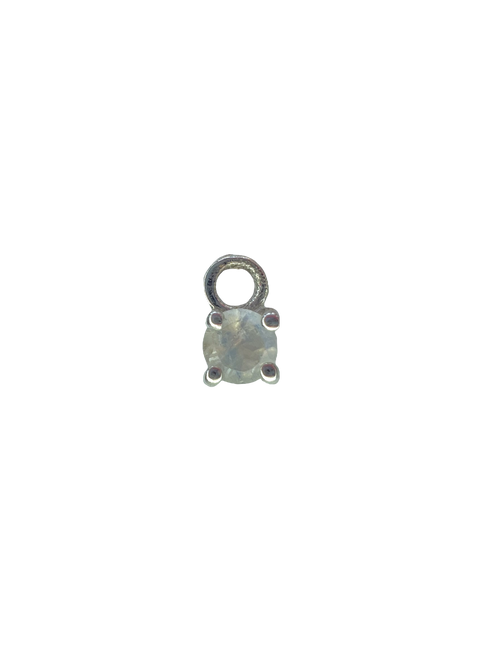 Charm Conejito