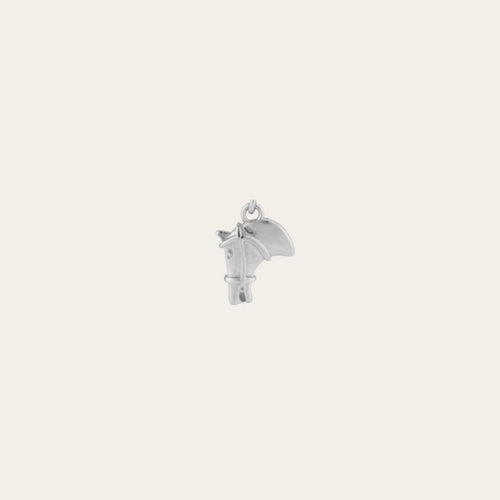Charm caballo