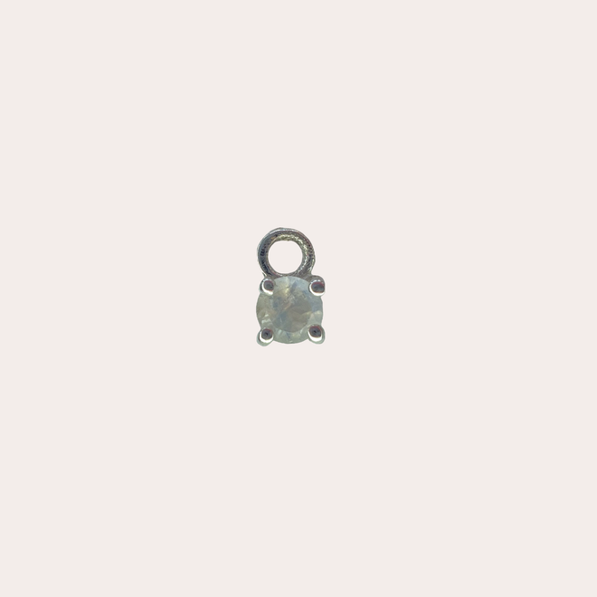 Charm Conejito