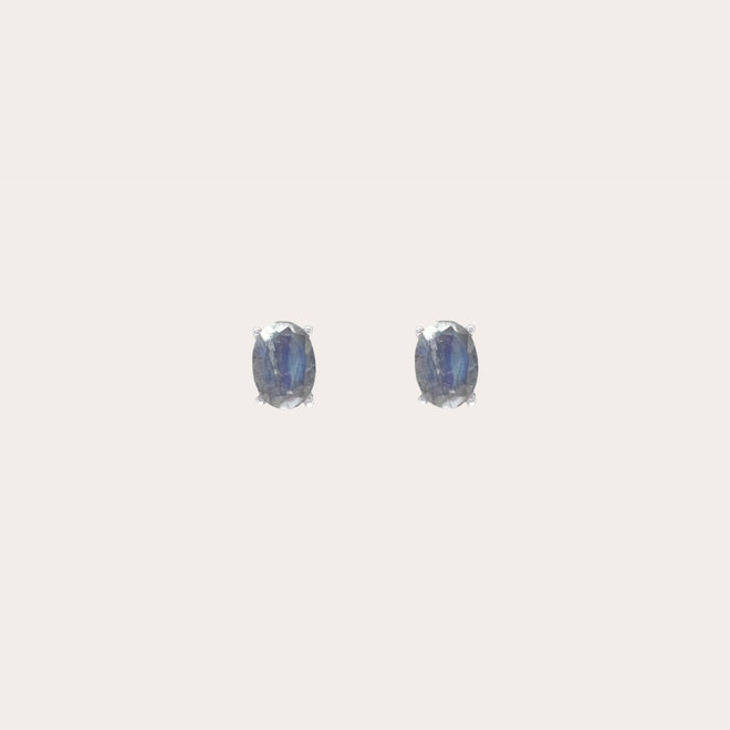Aretes Shine
